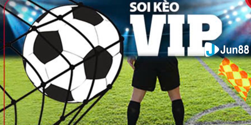 soi kèo vip Phân tích các loại kèo phổ biến trong soi kèo VIP