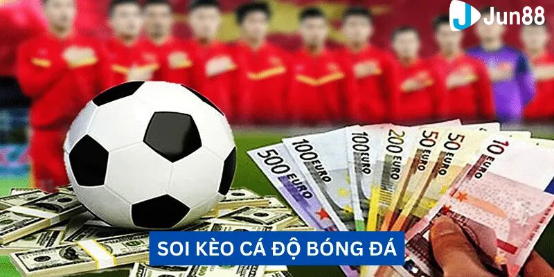 soi kèo vip