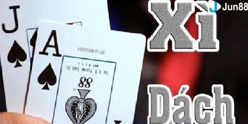 xì dách là sao