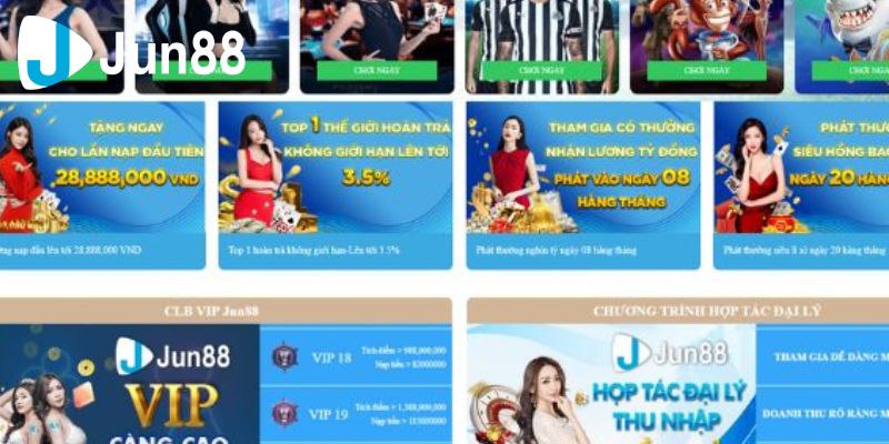 Chiến lược cá cược từ các chuyên gia
